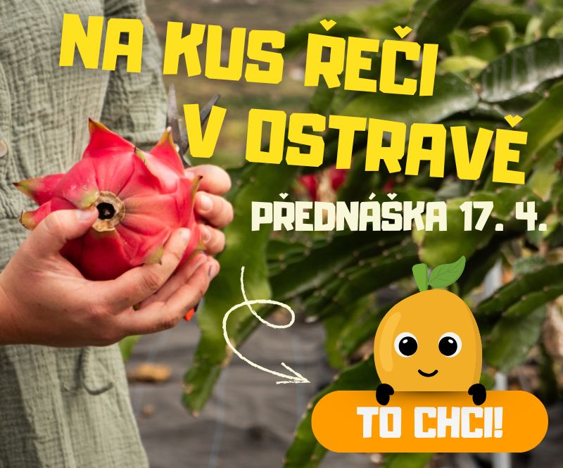 Ostrava | Ostrovchuti