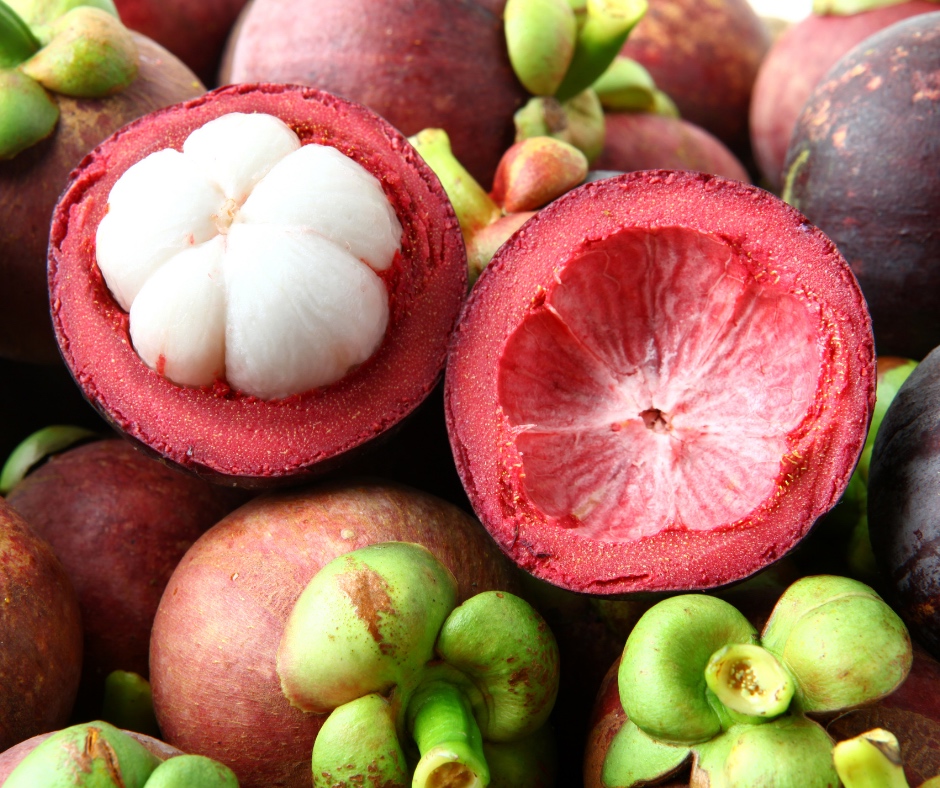 mangostan