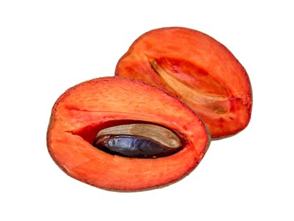 Kopie návrhu exotic lettering (4 x 3 in) (28)