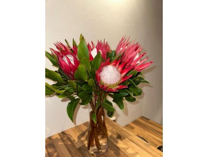 WhatsApp Image 2026 02 13 at 17.11.07