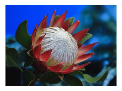 Snímek obrazovky 2026 02 12 v 14.19.49