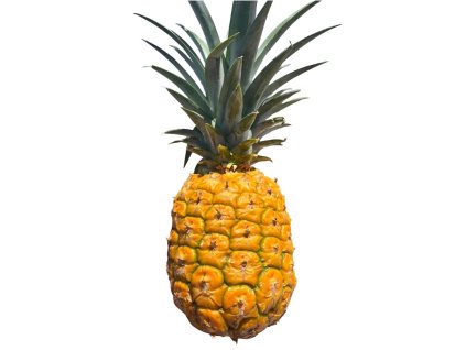 ananas1