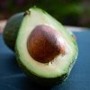 avocado 13 copy
