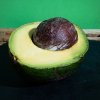 avokado 1 copy