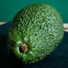 avokado 3 copy