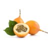 Granadilla NA JANUÁR