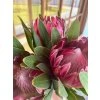 Kytice Protea z La Palmy  nabídka pouze tento týden