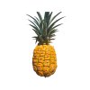 ananas1