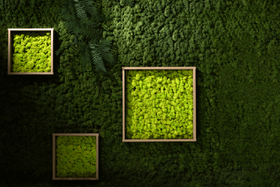 Mechový obraz - kus přírody v interiéru