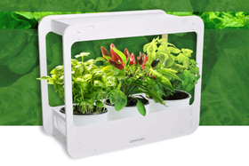 Domácí pěstování bylinek