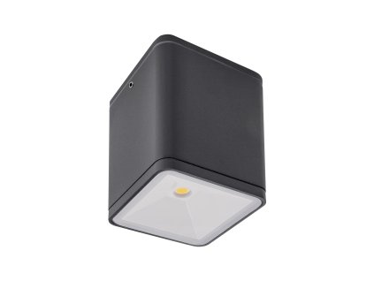 Stropní LED světlo 9198