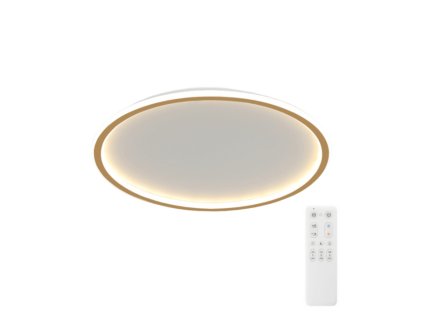 ABIGALI LED stropní svítidlo na dálkové ovládání