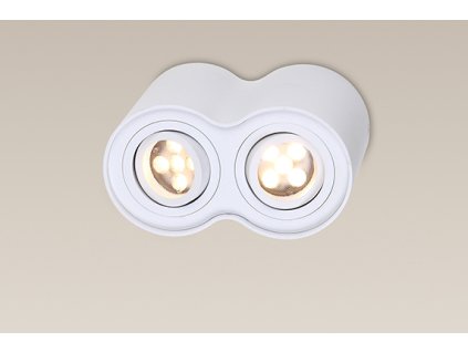 Stropní svítidlo Maxlight - BASIC ROUND 2 WH C0085
