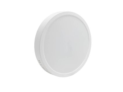 Kulaté stropní LED svítidlo ALGINE 24W