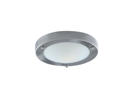 Koupelnové stropní svítidlo SEARCHLIGHT  1131-31SS