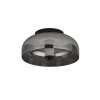 Stropní svítidlo s kouřovým sklem Frisbee 59804-1SM