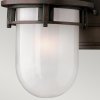 Retro nástěnná lampa Hinkley REEF-SM-VZ/hnědá barva/IP44
