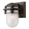 Retro nástěnná lampa Hinkley REEF-SM-VZ/hnědá barva/IP44