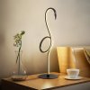 Stolní lampa plameňák Elstead FLAMINGO TL-BLK černá/LED 6W