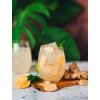 Zázvorový drink s ledem, citrónem a mátou