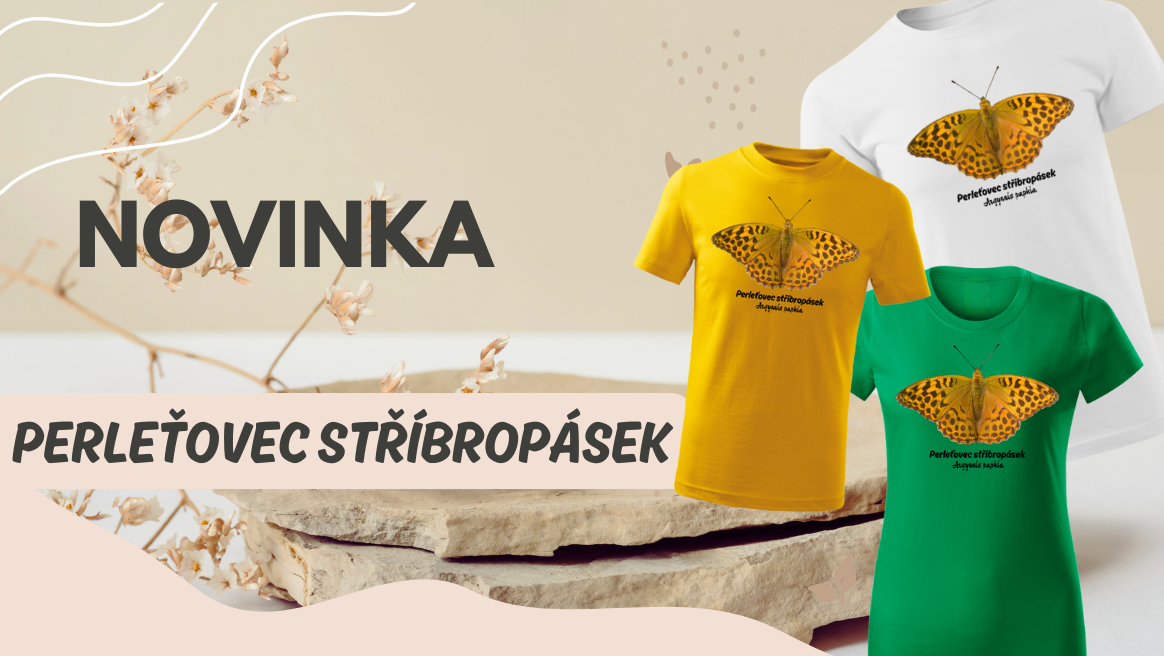 Novinka Perleťovec stříbropásek