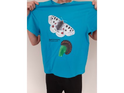 Pánské tričko s motýlem - jasoň červenooký - světle modré, velikost XL