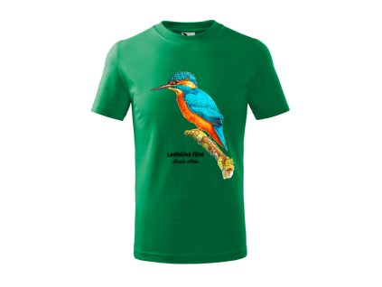 ledňáček (zelená)