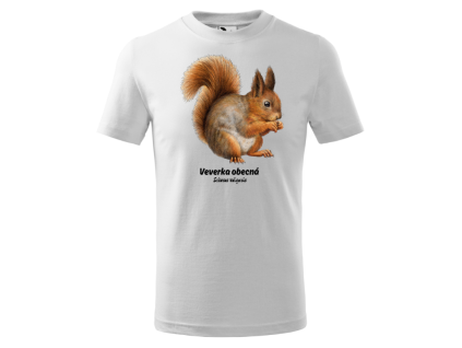 veverka (bílá)