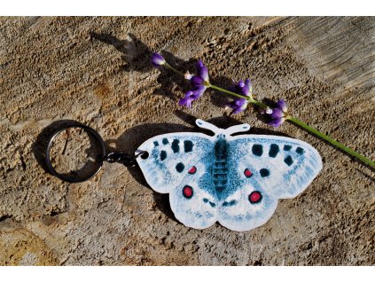 Klíčenka s motýlem - jasoň červenooký - kulatá / výřez