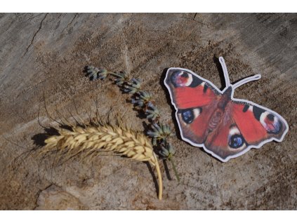 Magnetka s motýlem - babočka paví oko