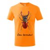 čau brouku (oranžová)