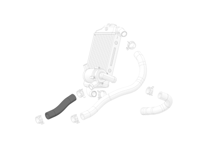 SMX1 CL HS 02