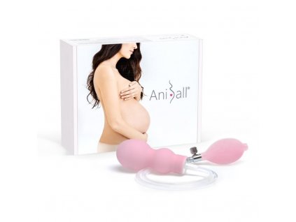 Aniball CZ Pink
