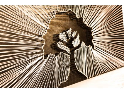 Ottu StringArt vyplétané obrazy 29