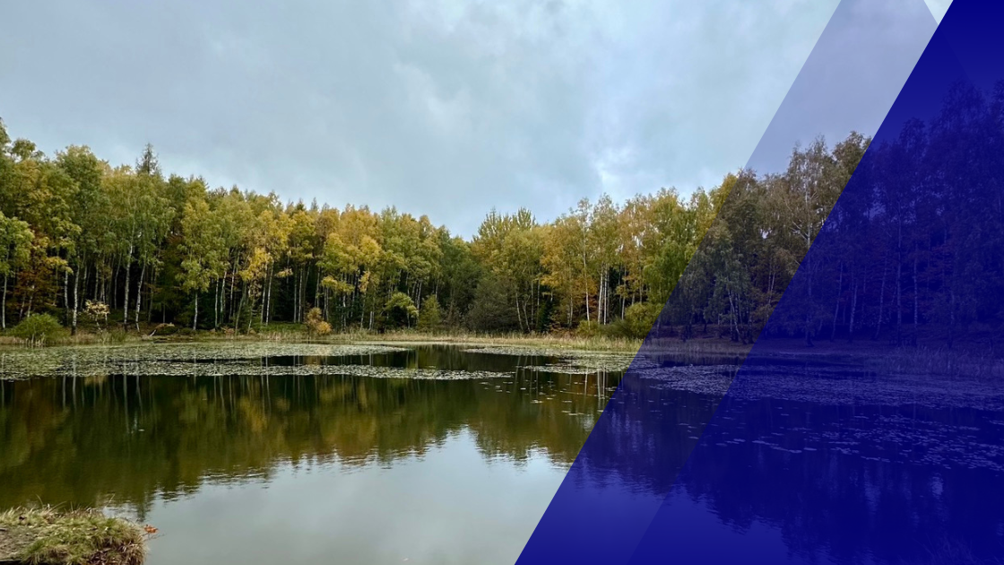 Kde se otužovat v severních Čechách