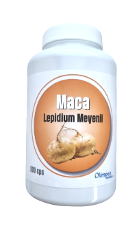 Maca: Naturalny eliksir witalności i zdrowia