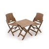CKW 584 Ridgetop Wood Folding Chair OW 12