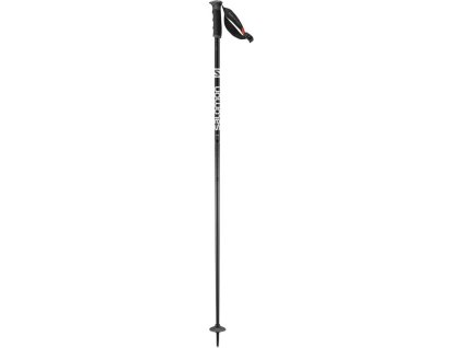 hole Salomon Arctic S3 black/grey (Velikost 110cm)