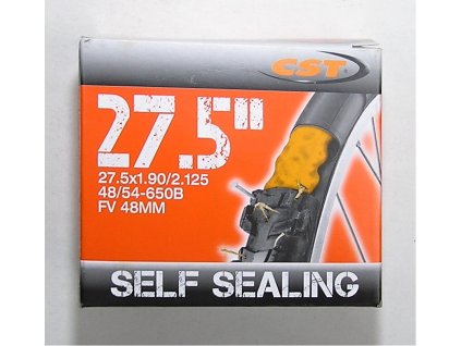 180111 duse cst 27 5x1 9 2 125 fv 48 mm s tmelem