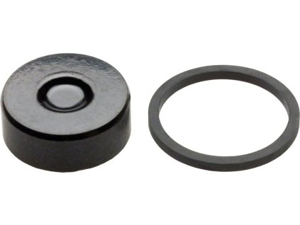 176973 piston kit hayes