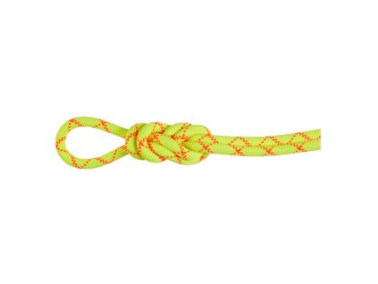 Mammut 9.5 Alpine Core Protect Dry Rope (Barva Zelená, Velikost 60 m)