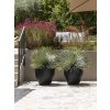 Moderní květináč Fiberstone Jesslyn Black M