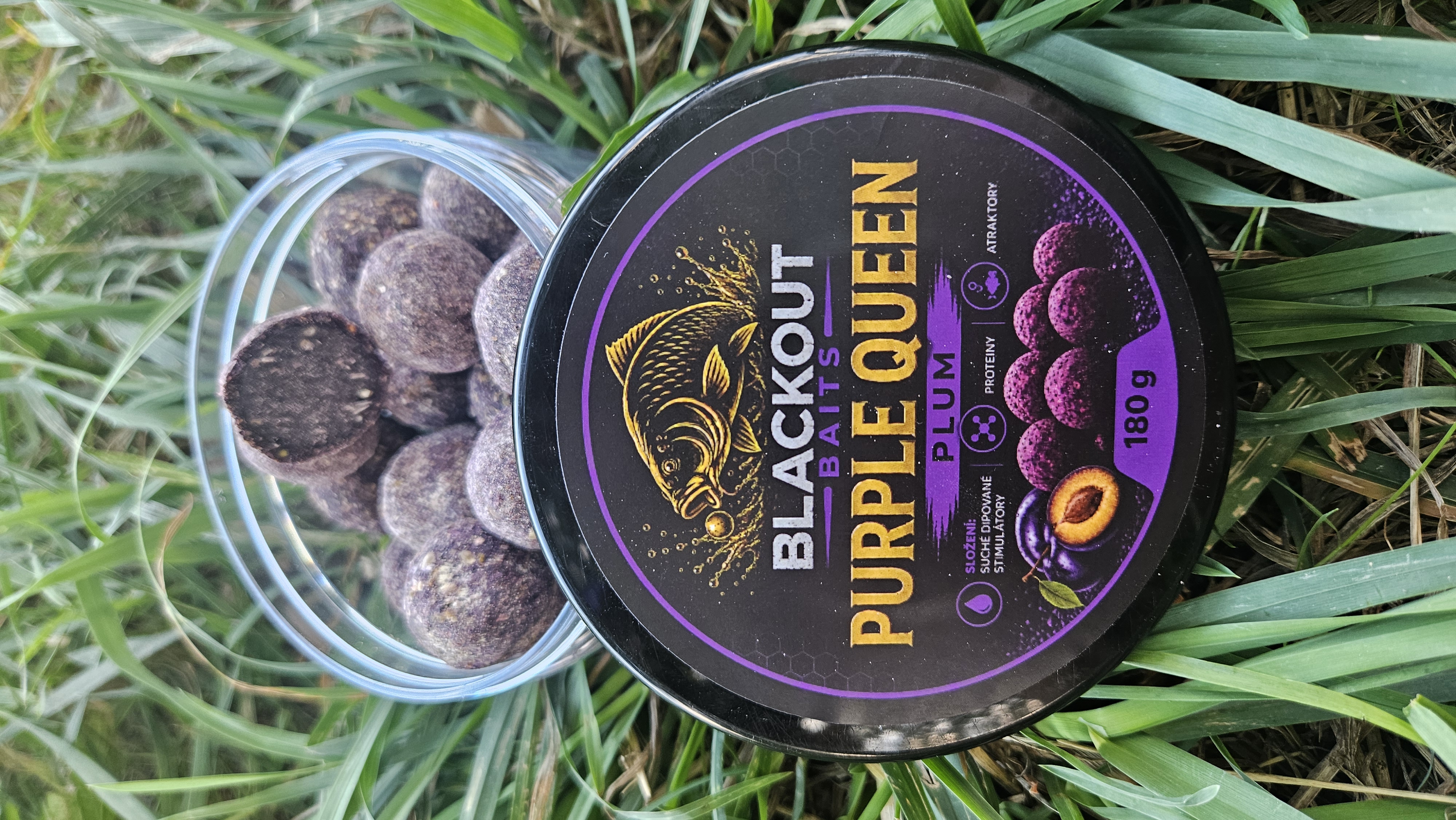 Purple_Queen