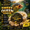 SWEET QUEEN – Scopex