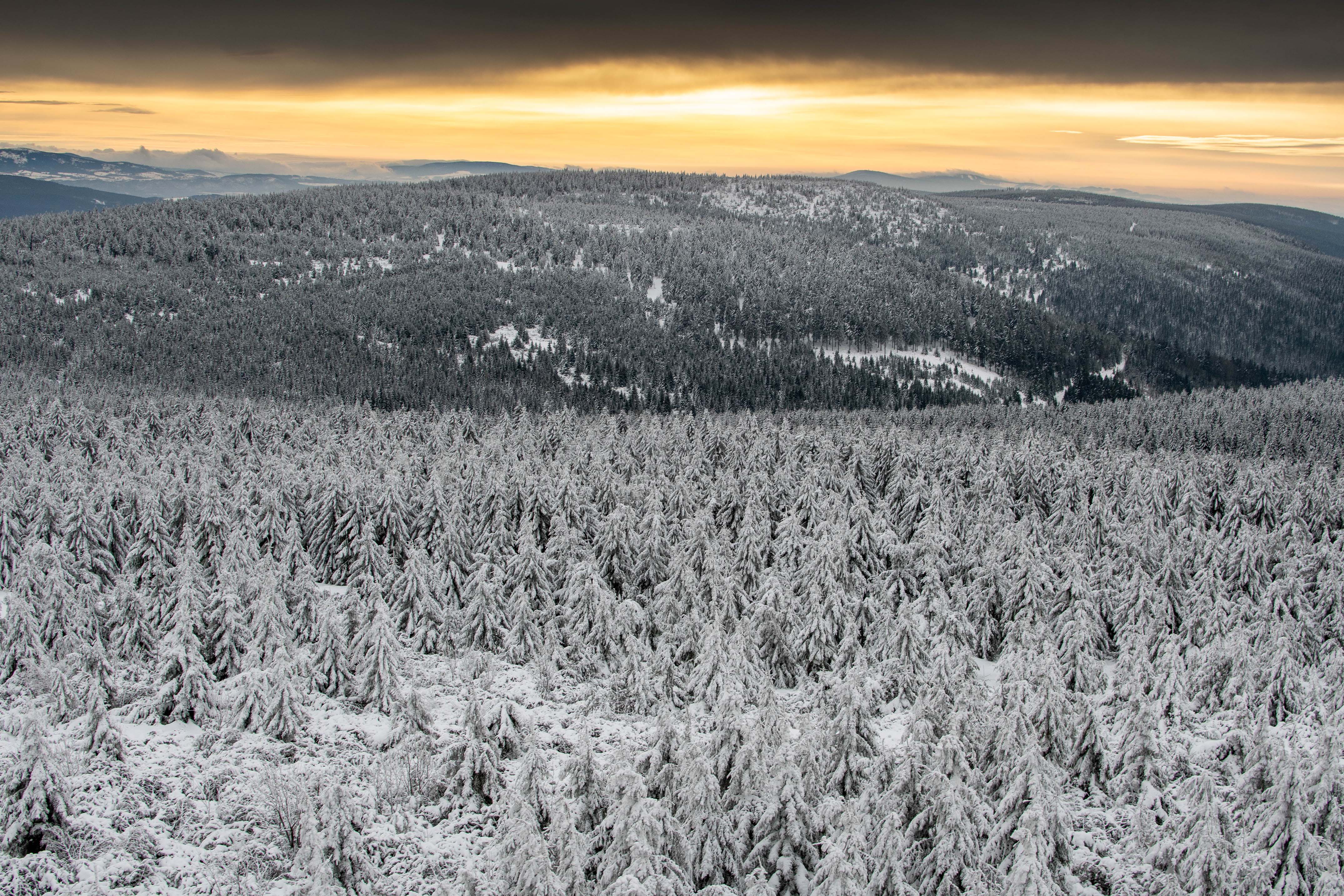 Hlavni banner