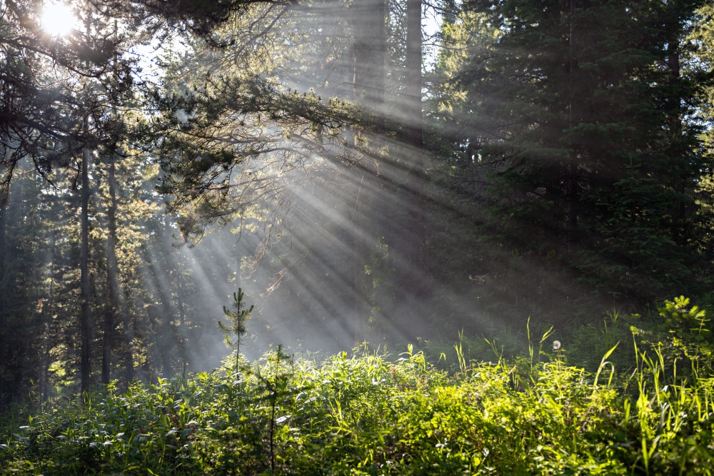 S21_Textures_Pashley__2410