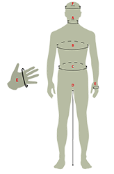 sizeman_sm-deerhunter