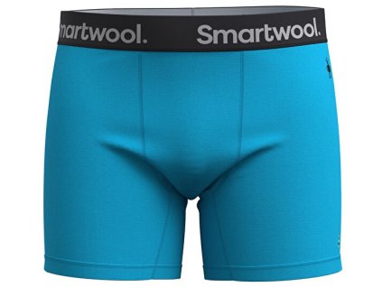 10043119SMW01 M ACTIVE BOXER BRIEF BOXED, pool bl