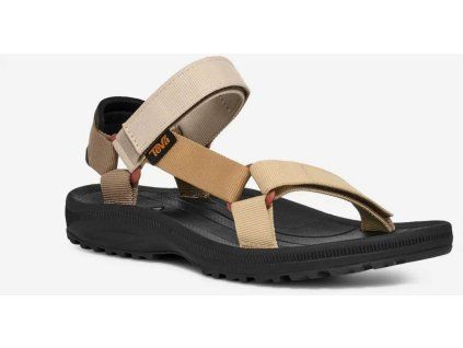 teva w s winsted nlmt