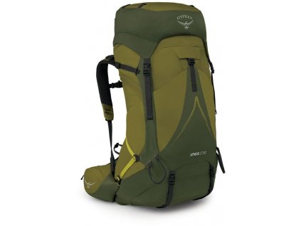 osprey atmos ag lt 50 scenic valley green peppercorn1